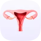 دکتر زنان و زایمان