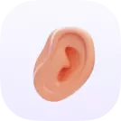 دکتر گوش، حلق و بینی